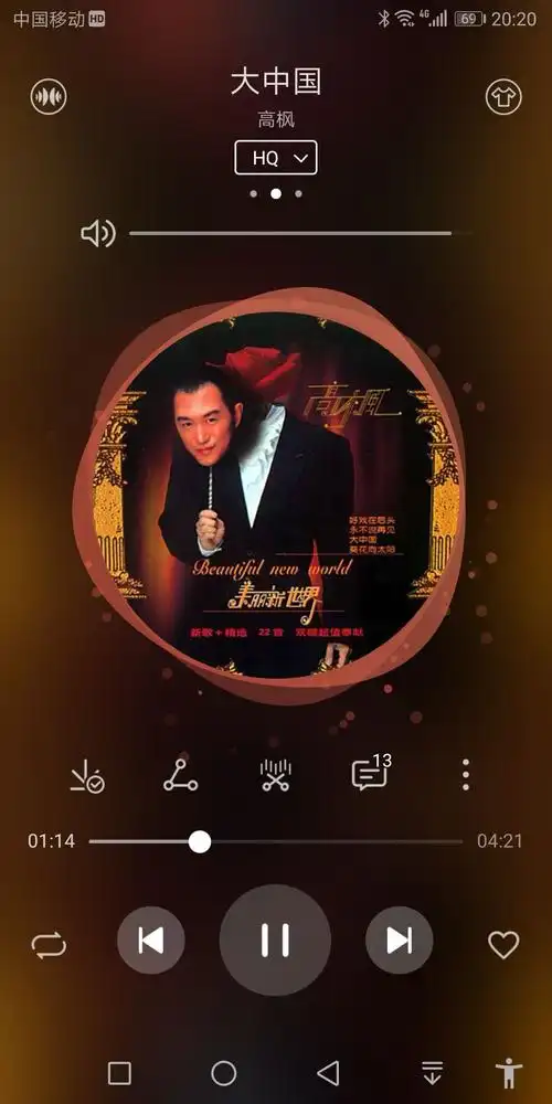 美丽新世界专辑封面,也是高枫最后的一张专辑!