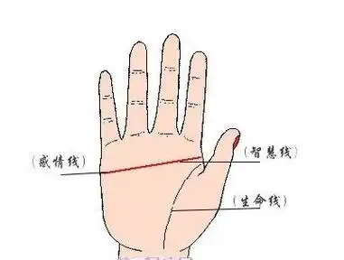 男人断掌手纹代表什么_男人双断掌手纹命运好不好_手纹断掌