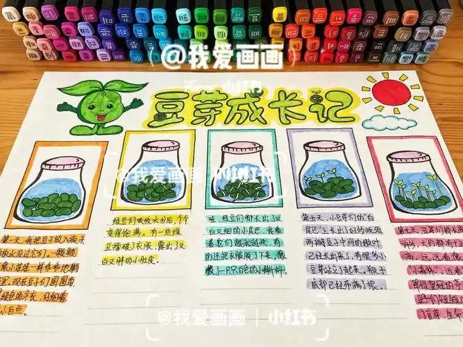 需要线稿9315私信#手抄报  #豆芽  #观察日记  #植物生长日记