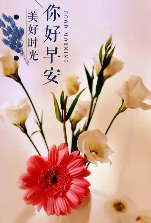 最新励志早安问候语 朋友圈正能量早安问候语配图