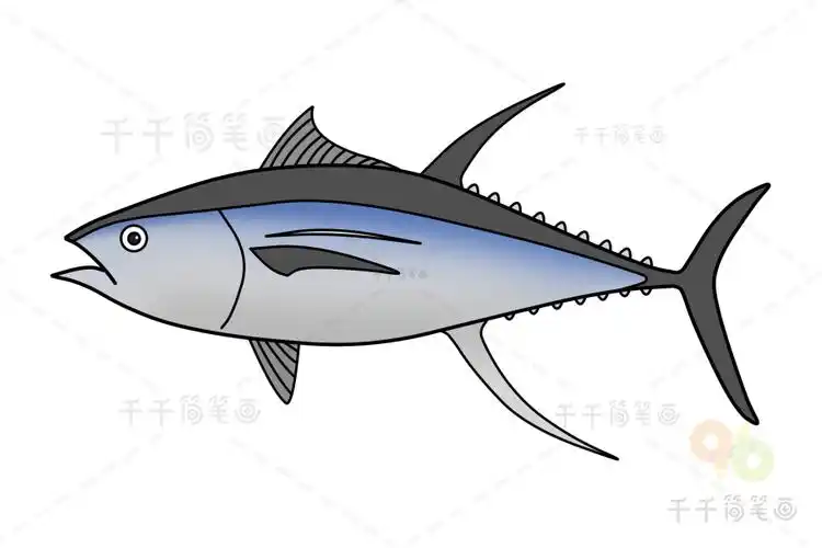 金枪鱼简笔画如何画