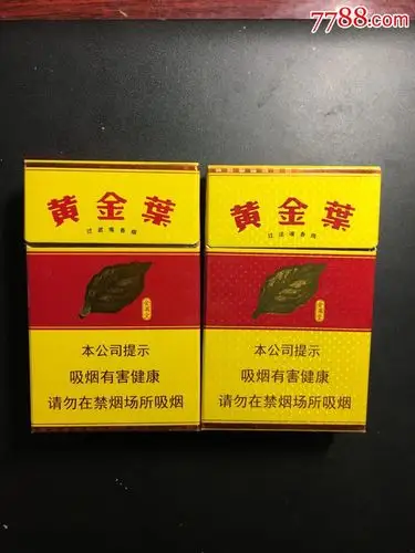 黄金叶金满堂16版两种