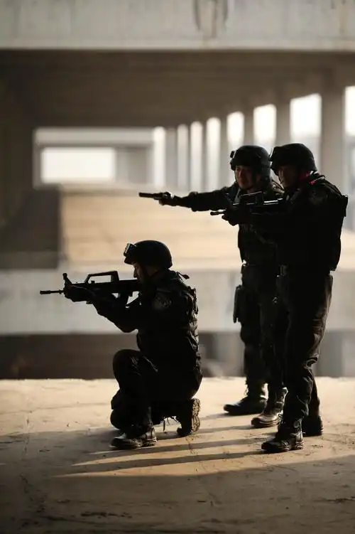 特警系列之《平安的守护者》