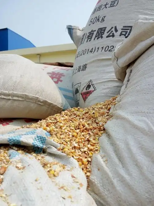 大量现货供应玉米下脚料玉米皮玉米骨头玉米毛子玉米36子