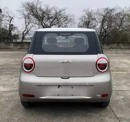 五菱mini燃油版2022款敞篷报价(长城对五菱mini下手了)(3)