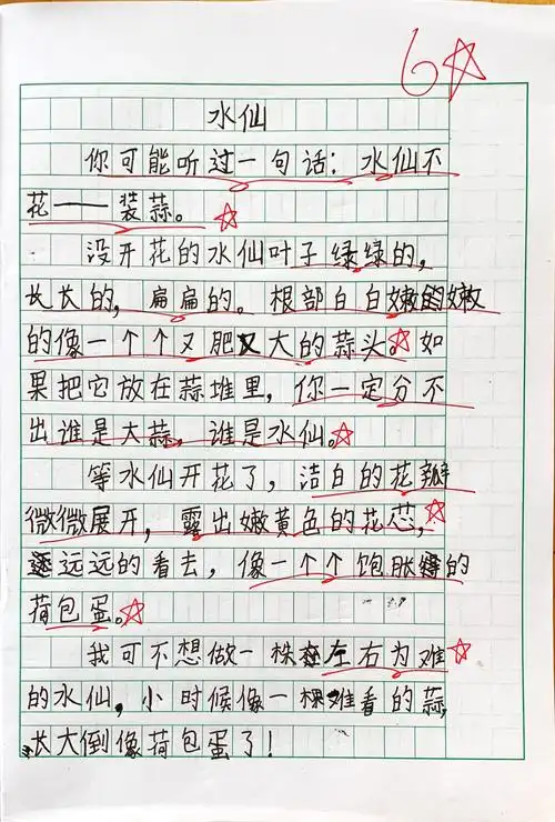 【习作三】植物备忘录