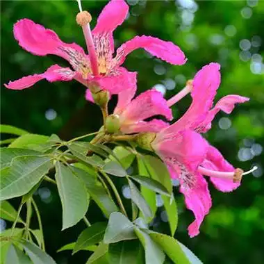 风景头像图片2021最火爆高清微信头像风景图片2021最新款合集