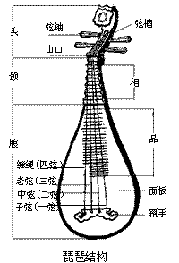 o_琵琶构造_o