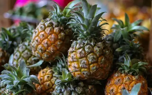 菠萝,水果特写 壁纸 - 2560x1600