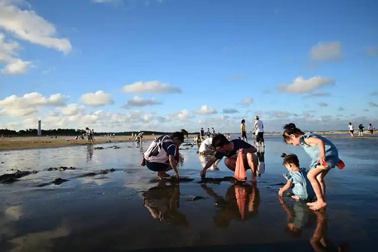 【赶海记】海南双飞5天
