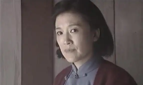 data-lemmaid="2649848">何群 /a>执导的红色经典电视剧,根据国民党