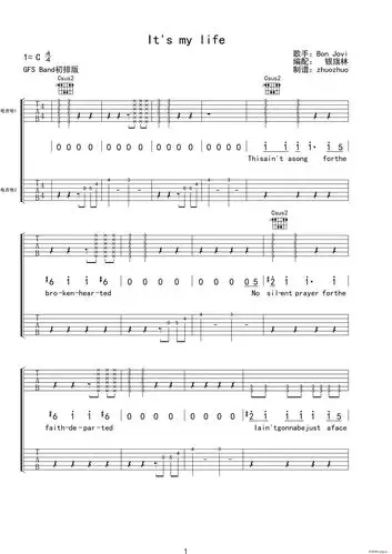 it s my life 电吉他 双吉他版(吉他谱)1