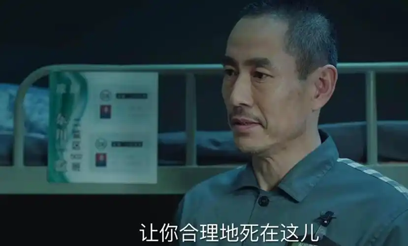 电视剧巡回检察组多少集(电视剧《巡回检察组》多少集) - 风集网