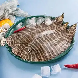 [8斤装8-15条/斤]新鲜花手绢鱼踏板鱼花龙利鱼鳎目鱼鲜活海鲜水产