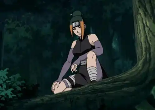 叶仓词条图册_百度百科