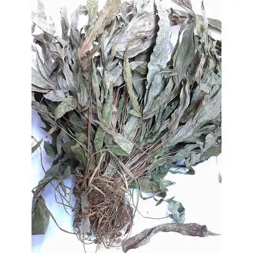 伟博鸭脚草金鸡脚鸭脚草煲汤料鹅掌金星草金星草七星草新货金鸡脚100