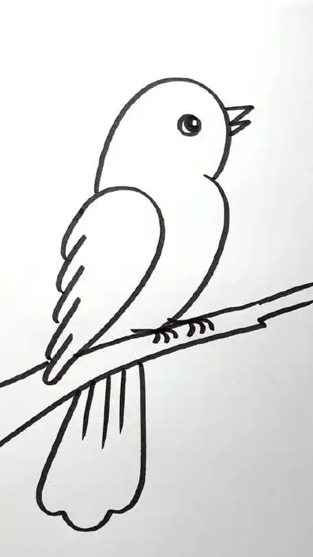 用数字2画小鸟,简简单单一看就会