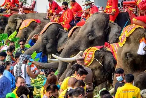 泰国庆祝大象日