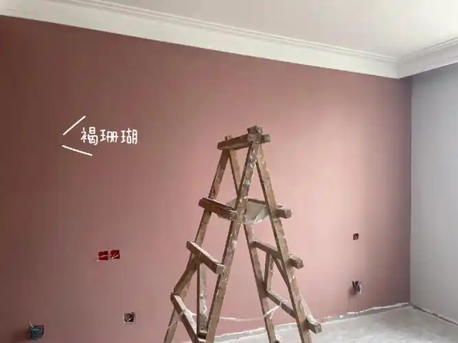 杏子灰不是很喜欢 有一点发黄  但是还可以#立邦乳胶漆  #立邦褐珊