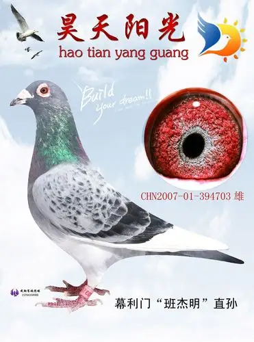 穆丽门"班杰明"家族