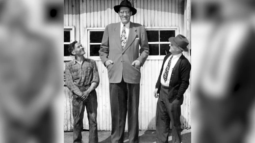 世界上最大的人( 世界上7位最高大的巨人)_环球信息网