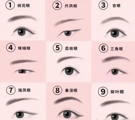 眼型这样分类正确吗0669