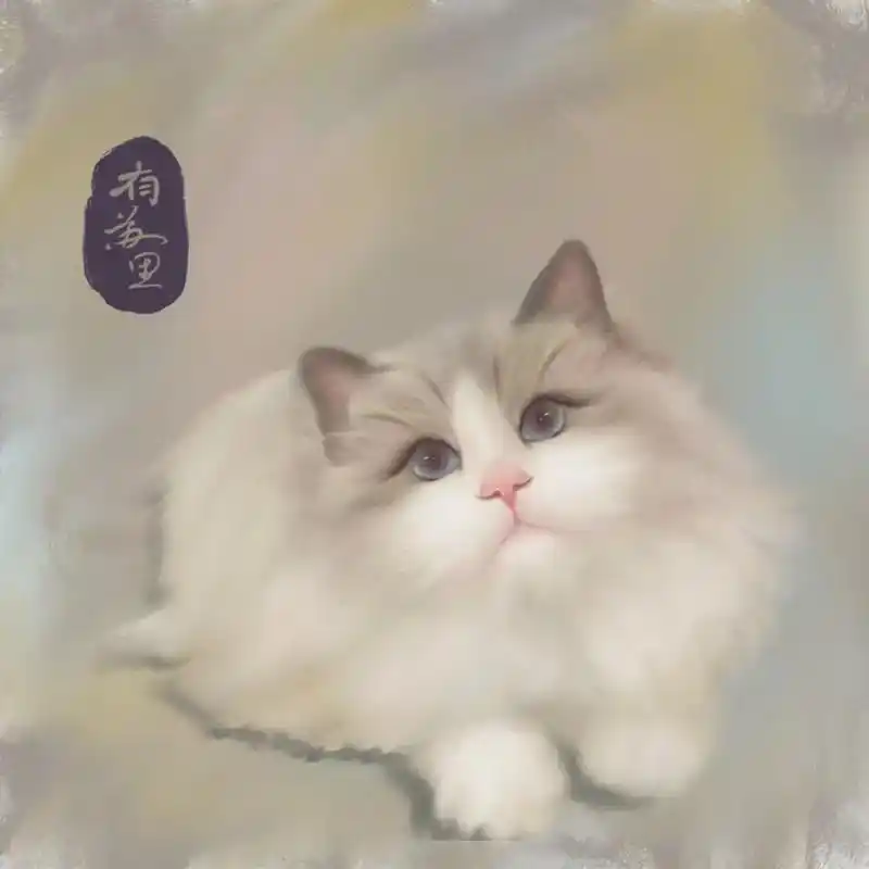 浅画一下小猫咪吧布偶猫咪