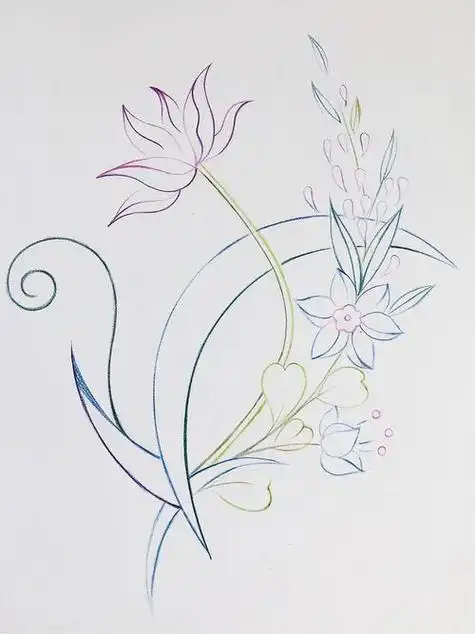 凤尾花怎么画简笔画