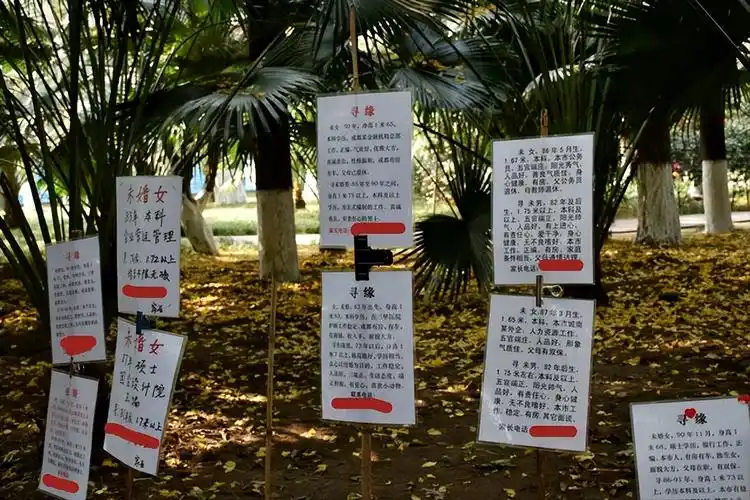 成都人民公园相亲角,女多男少情难觅,相亲尤如赶大集:真着急!