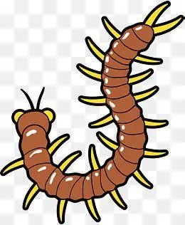 蜈蚣卡通简笔画彩色