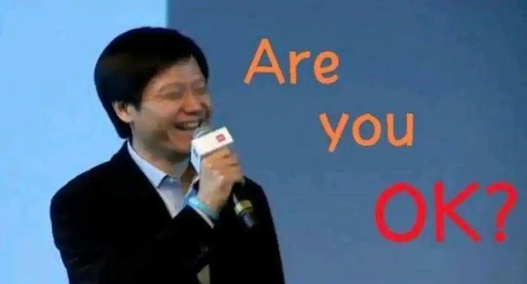 areyouok雷军是什么梗_areyouok雷军梗的意思介绍_咖绿茵手游站