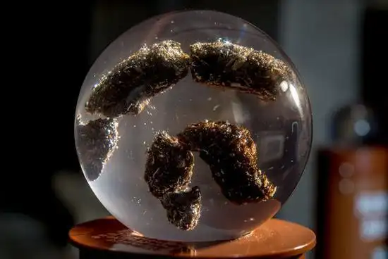 (左)和丹尼尔 罗伯茨据《纽约时报》报道,世界上什么样的博物馆都有