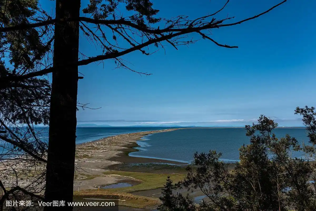 dungeness半岛美丽的沙滩透过长草俯瞰整个海滩