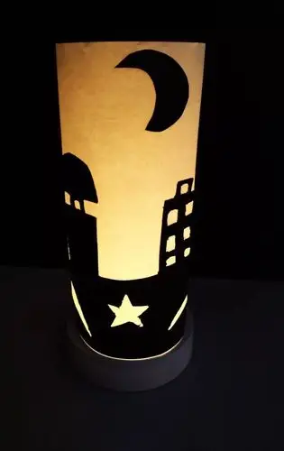 班张璐212班徐宇轩214班谭雨娟这些创意十足的灯饰是学生手工制作而成