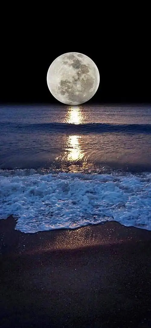 海上生明月,一加友们共此时.