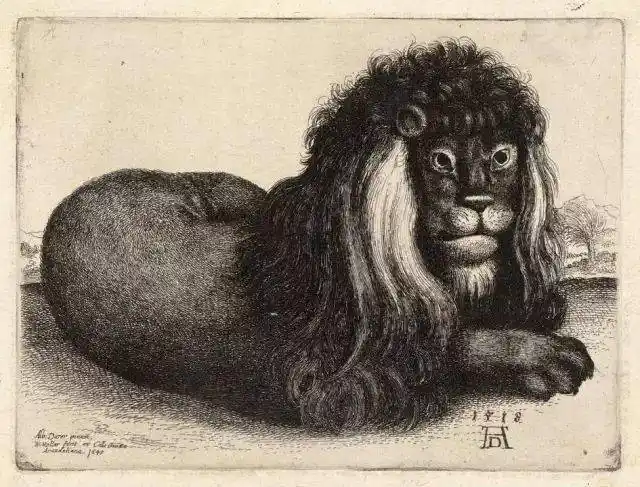 丢勒版画,高清大图,100幅