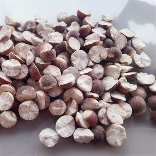 肇庆特产茨实精选黑皮芡实250g肇实半开鸡头米无硫煲汤料包邮