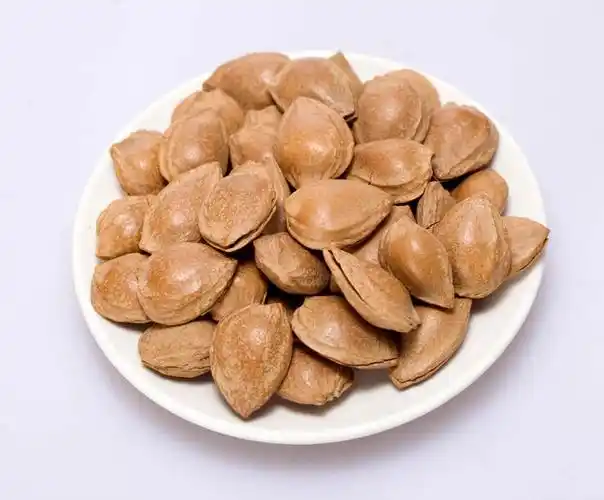 一品玉白杏杏核200g