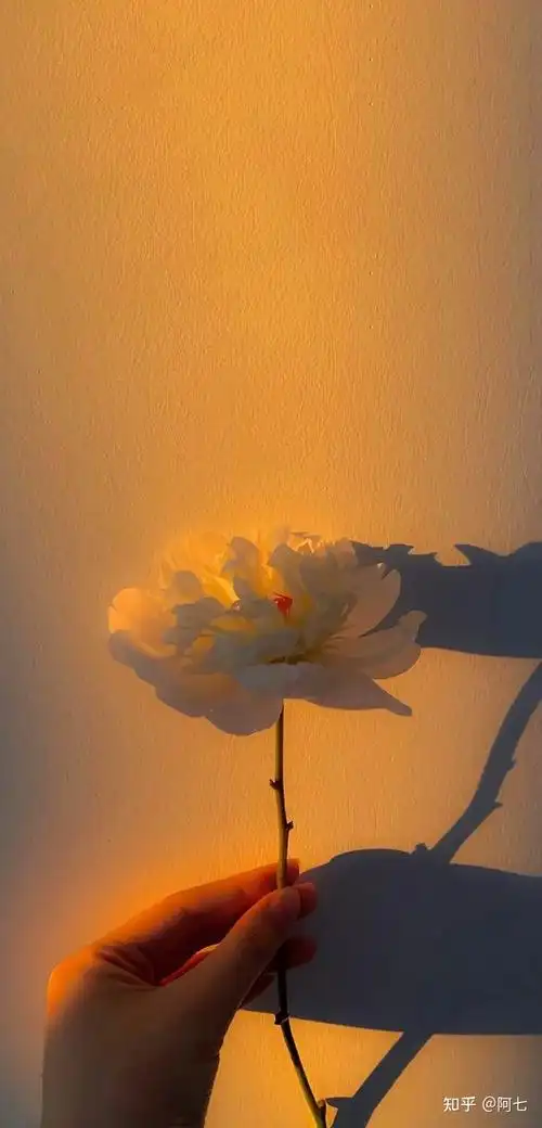 有啥简约高级的壁纸背景图? - 知乎