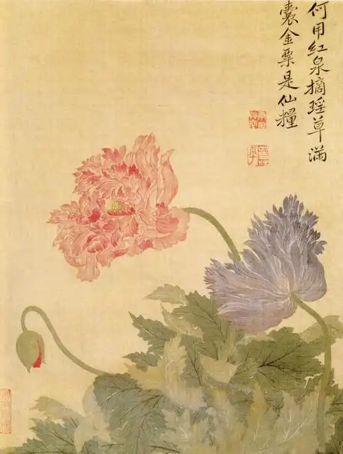 恽寿平花鸟画欣赏