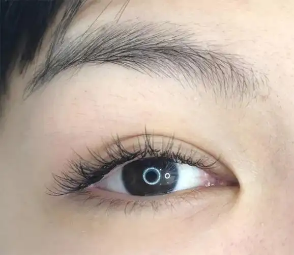 秋水丽人单根睫毛嫁接只要45