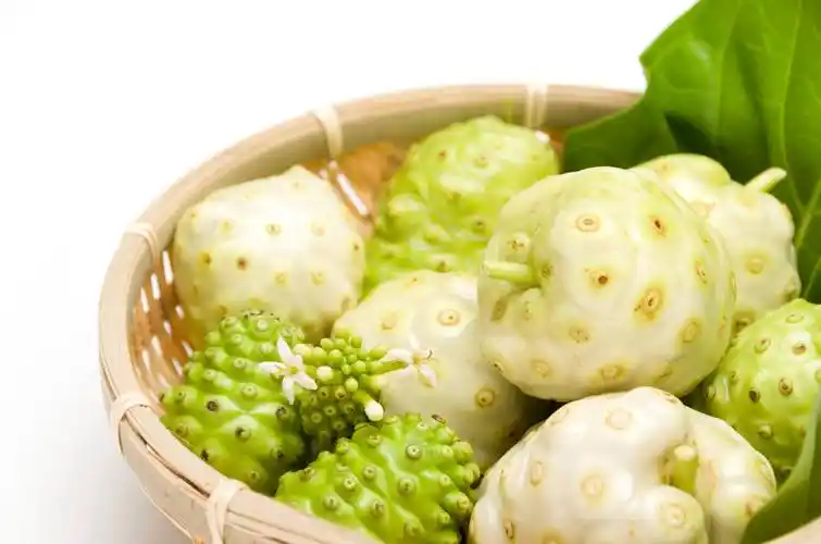 穿过南太平洋,见证"黄金果"的成长与蜕变!_诺丽_斐济_人体