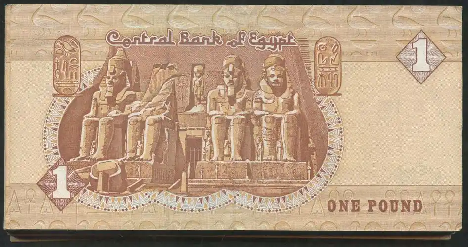 埃及1磅约一百枚