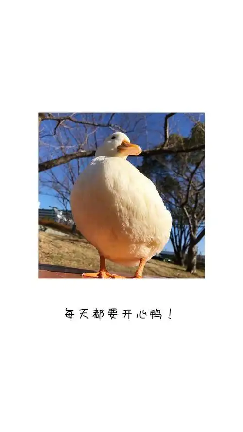 心心地才能将生活过的有滋有味哟~想必大家都很想知道这到底在哪里