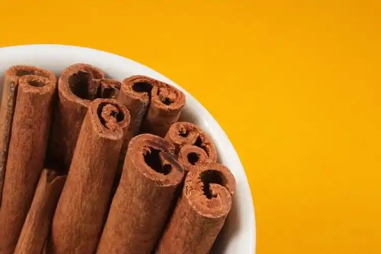 桂皮图片调味料香料肉桂桂皮