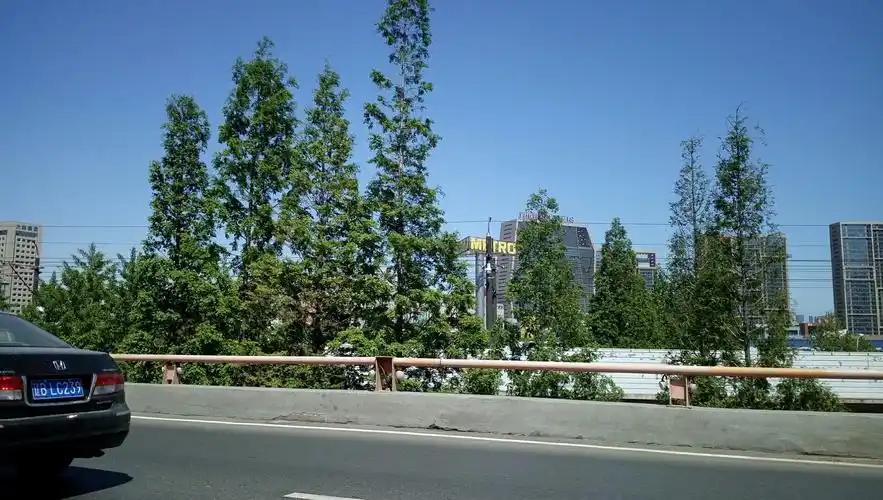 辽宁省大连市西岗区香周路靠近香炉礁高架立交桥天气预报