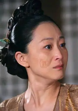 满城尽带黄金甲蒋太医之女蒋婵