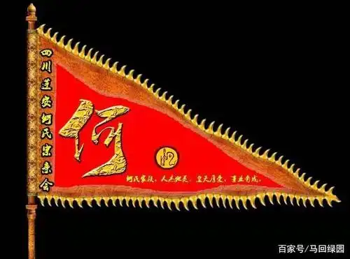 四川蓬安何氏家族是这样清明祭祖