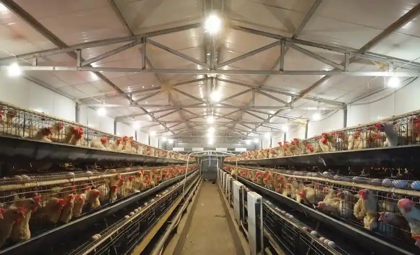 李楠:用实际行动传递温暖