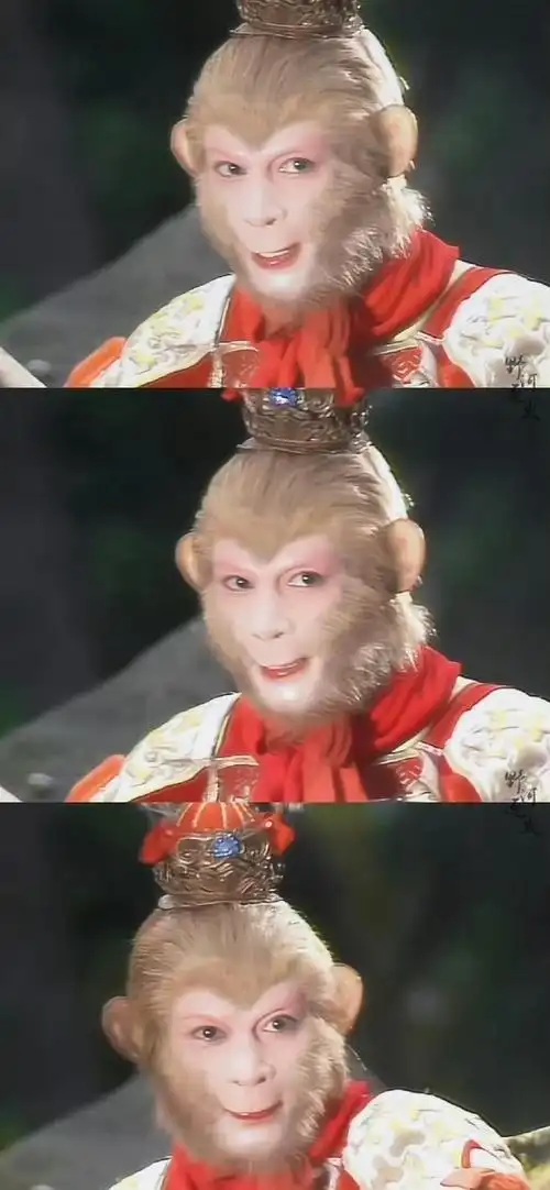 被六小龄童猴戏表演硬控